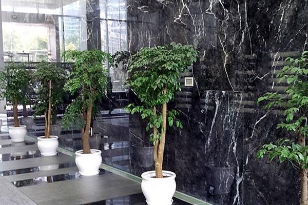上海办公室绿化租赁,公司景观绿化