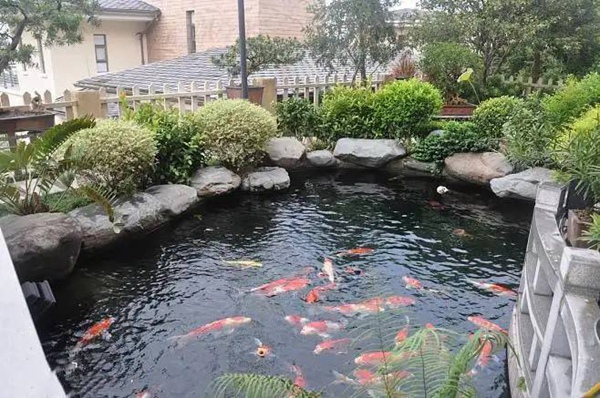  别墅造园中，庭院鱼池假山制作方法