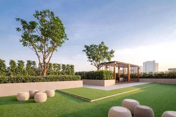 上海屋顶花园景观绿化种植植物的施工规范