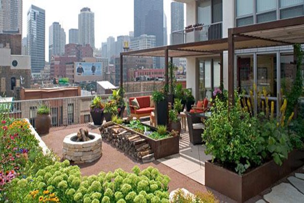 上海屋顶花园设计制作案例：植物绿化景观配置