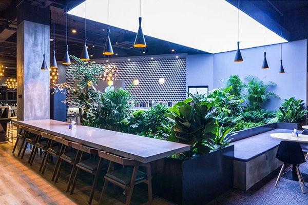 咖啡馆绿植景观设计制作